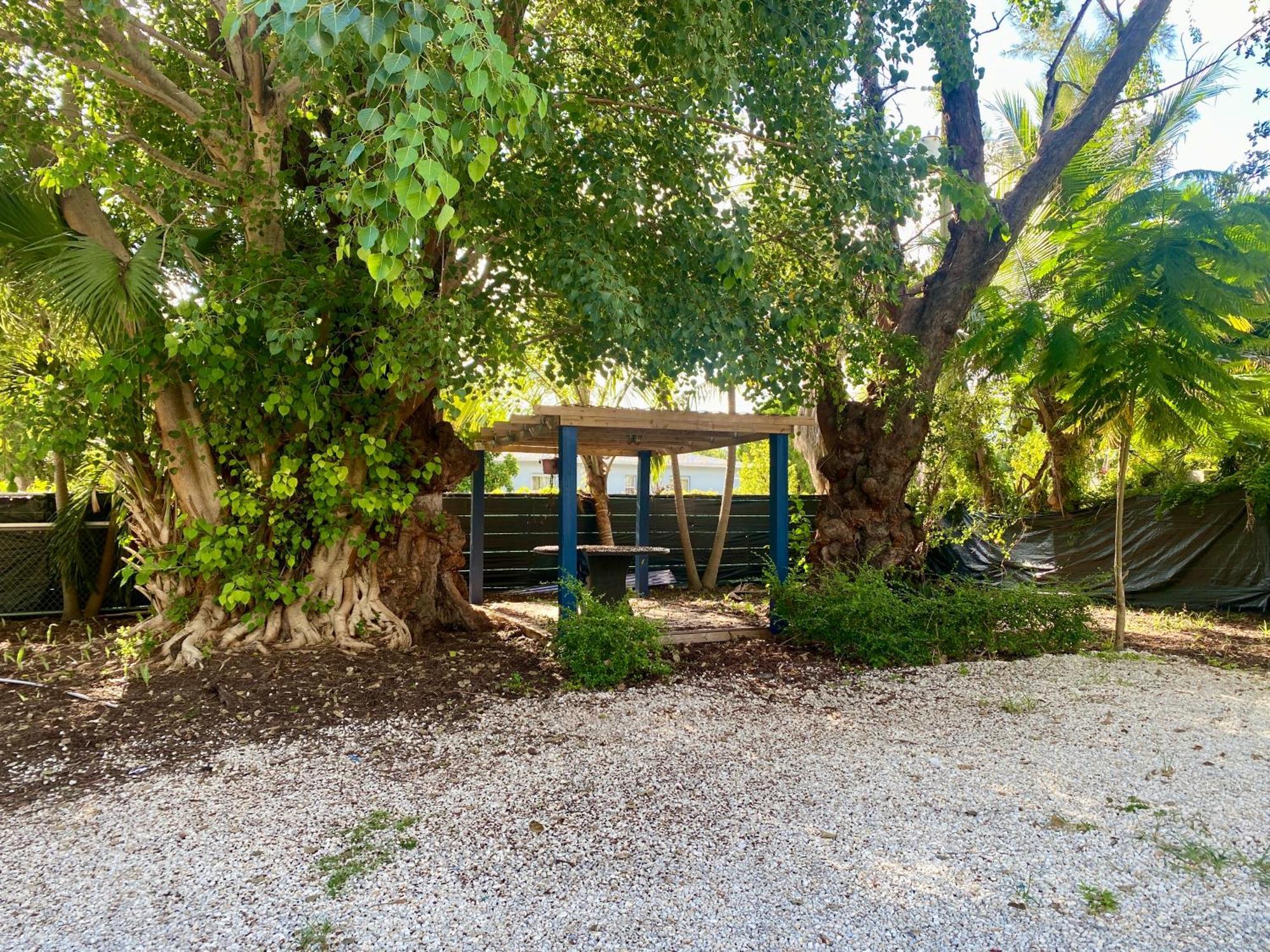 Private Rooms At Miami Centrally Located With Free Parking Exterior foto